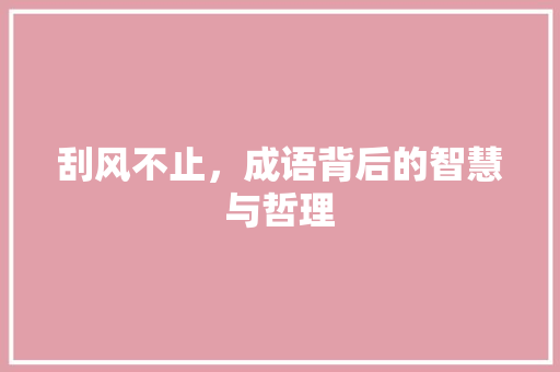刮风不止，成语背后的智慧与哲理