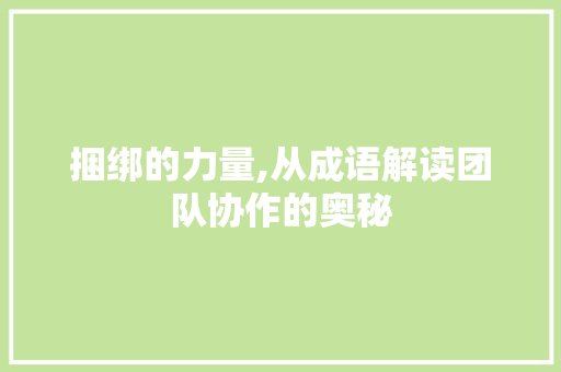 捆绑的力量,从成语解读团队协作的奥秘