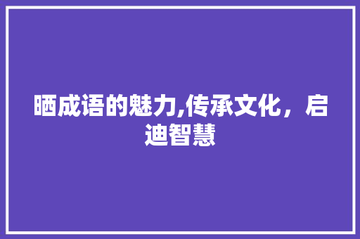晒成语的魅力,传承文化，启迪智慧