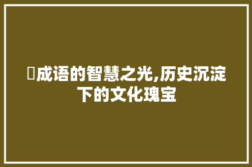 晹成语的智慧之光,历史沉淀下的文化瑰宝