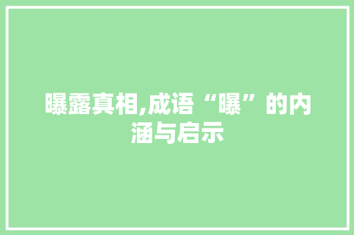 曝露真相,成语“曝”的内涵与启示 反义词汇