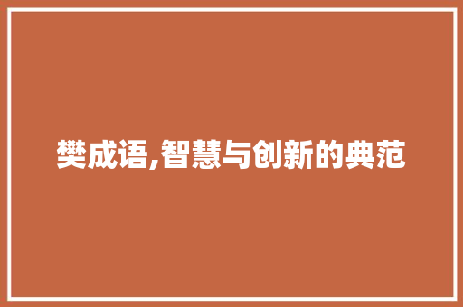 樊成语,智慧与创新的典范