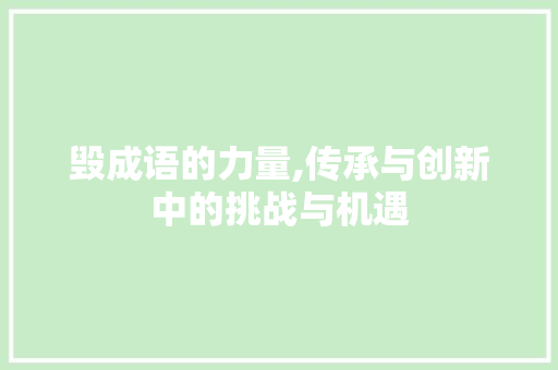 毁成语的力量,传承与创新中的挑战与机遇