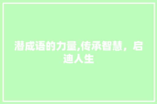 潜成语的力量,传承智慧，启迪人生 短语