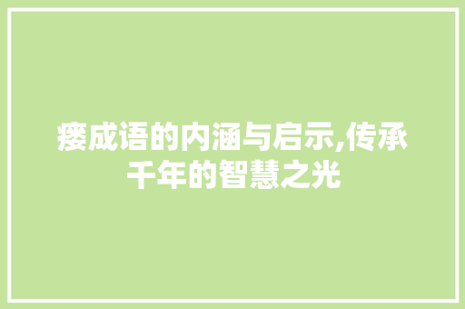 瘘成语的内涵与启示,传承千年的智慧之光