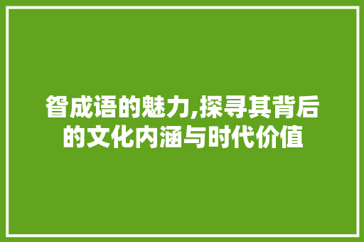 眢成语的魅力,探寻其背后的文化内涵与时代价值