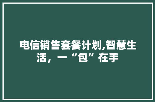 电信销售套餐计划,智慧生活，一“包”在手
