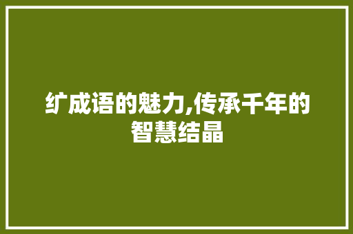 纩成语的魅力,传承千年的智慧结晶