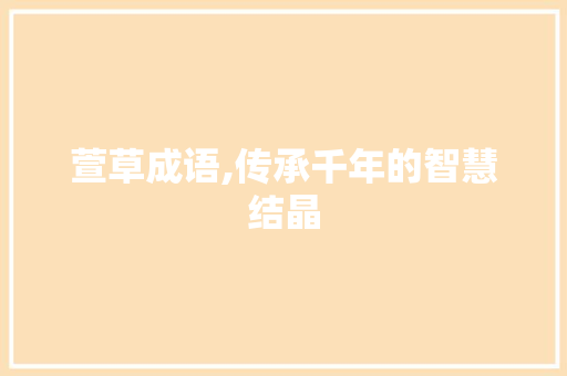 萱草成语,传承千年的智慧结晶
