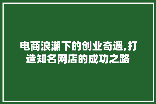 电商浪潮下的创业奇遇,打造知名网店的成功之路