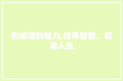 衔成语的魅力,传承智慧，启迪人生