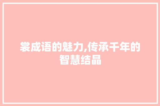 裳成语的魅力,传承千年的智慧结晶