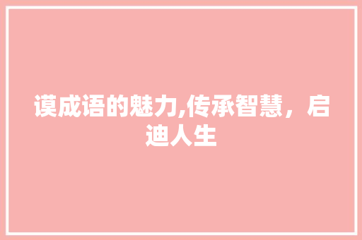 谟成语的魅力,传承智慧，启迪人生