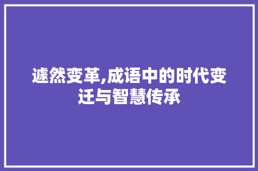 遽然变革,成语中的时代变迁与智慧传承