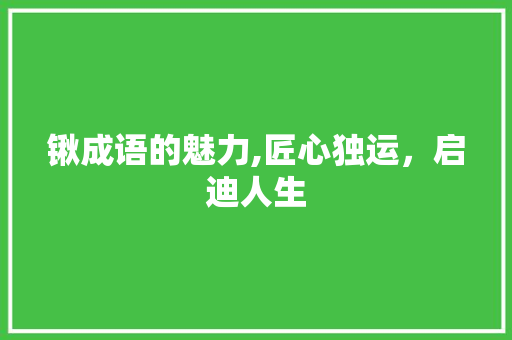 锹成语的魅力,匠心独运，启迪人生
