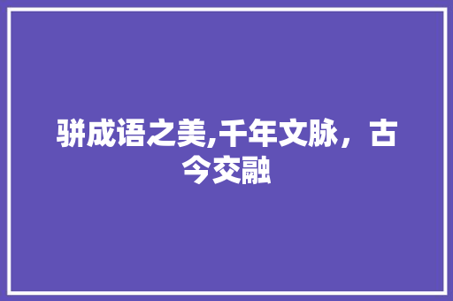 骈成语之美,千年文脉，古今交融
