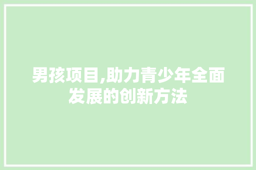 男孩项目,助力青少年全面发展的创新方法