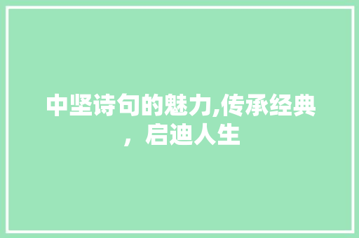 中坚诗句的魅力,传承经典，启迪人生