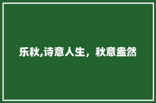乐秋,诗意人生，秋意盎然