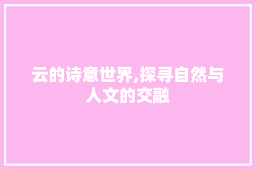云的诗意世界,探寻自然与人文的交融