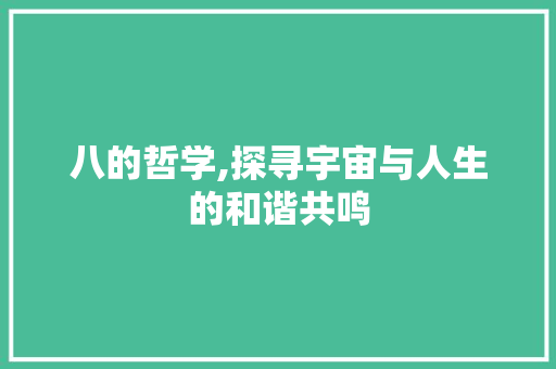 八的哲学,探寻宇宙与人生的和谐共鸣