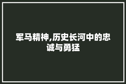 军马精神,历史长河中的忠诚与勇猛