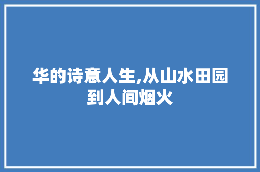 华的诗意人生,从山水田园到人间烟火