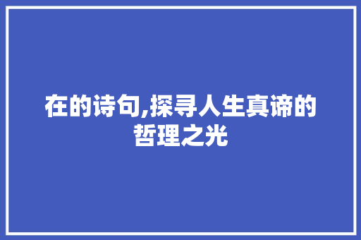 在的诗句,探寻人生真谛的哲理之光