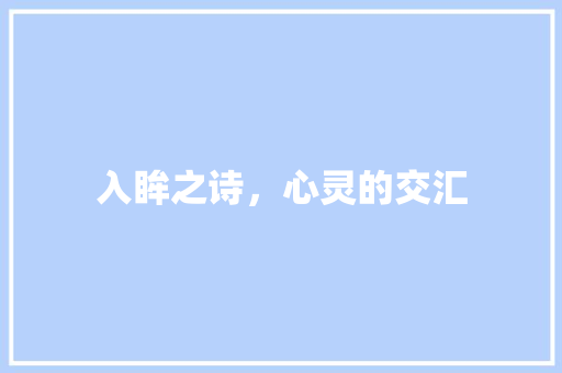 入眸之诗，心灵的交汇 成语汇编