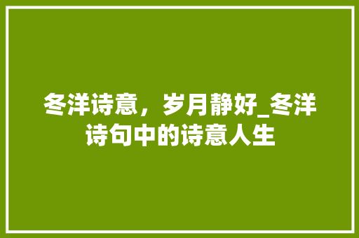 冬洋诗意，岁月静好_冬洋诗句中的诗意人生