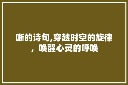 哳的诗句,穿越时空的旋律，唤醒心灵的呼唤