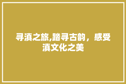 寻滇之旅,踏寻古韵，感受滇文化之美