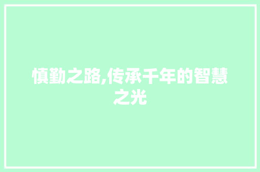 慎勤之路,传承千年的智慧之光