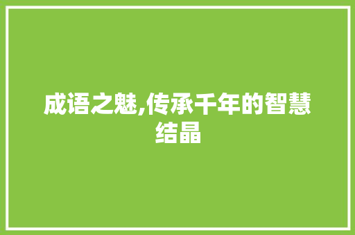 成语之魅,传承千年的智慧结晶 短语