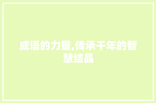 成语的力量,传承千年的智慧结晶