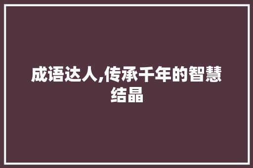 成语达人,传承千年的智慧结晶