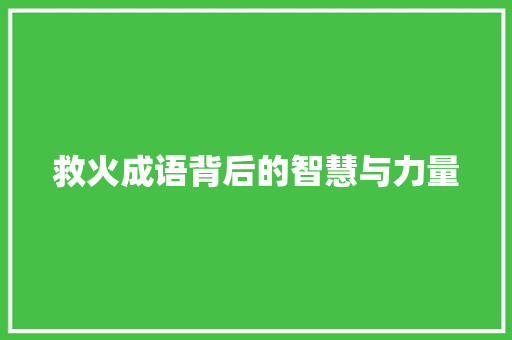 救火成语背后的智慧与力量