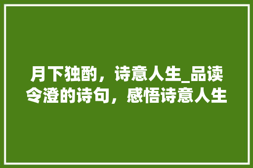 月下独酌，诗意人生_品读令澄的诗句，感悟诗意人生