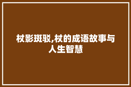 杖影斑驳,杖的成语故事与人生智慧