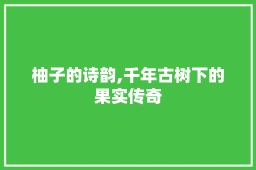 柚子的诗韵,千年古树下的果实传奇