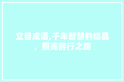 立目成语,千年智慧的结晶，照亮前行之路