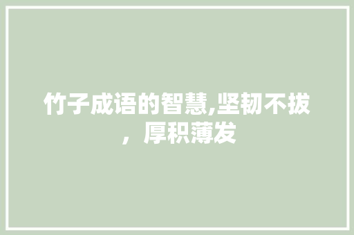 竹子成语的智慧,坚韧不拔，厚积薄发
