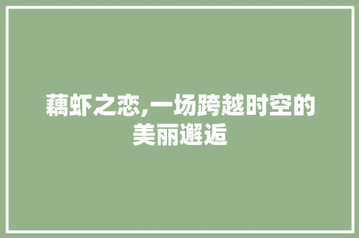 藕虾之恋,一场跨越时空的美丽邂逅