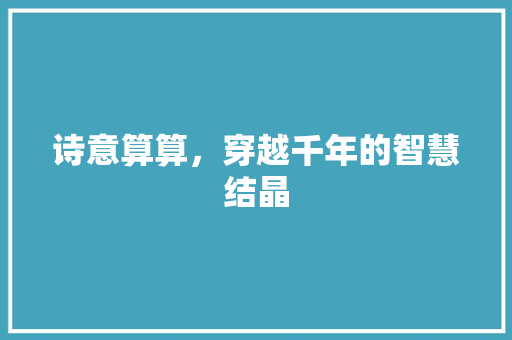 诗意算算，穿越千年的智慧结晶