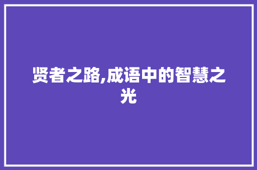 贤者之路,成语中的智慧之光