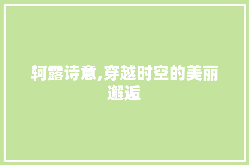 轲露诗意,穿越时空的美丽邂逅 反义词汇