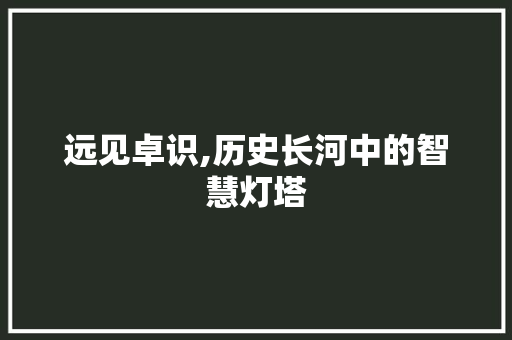 远见卓识,历史长河中的智慧灯塔