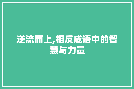 逆流而上,相反成语中的智慧与力量
