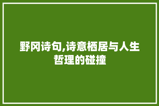 野冈诗句,诗意栖居与人生哲理的碰撞