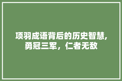 项羽成语背后的历史智慧,勇冠三军，仁者无敌